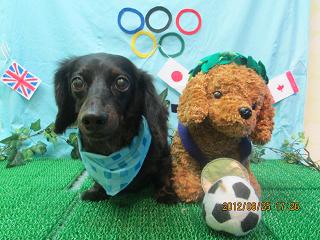 ファイル 4704-2.jpg