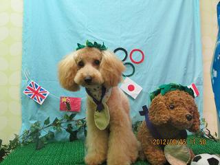 ファイル 4706-1.jpg