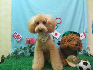 ファイル 4706-2.jpg