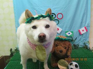 ファイル 4707-1.jpg