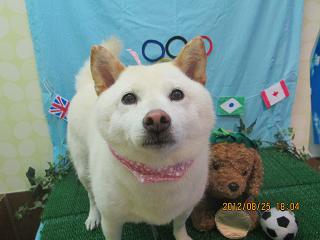 ファイル 4707-2.jpg