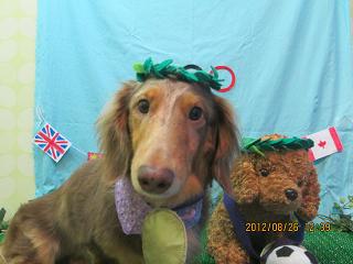 ファイル 4708-1.jpg