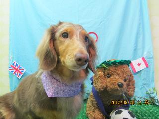 ファイル 4708-2.jpg