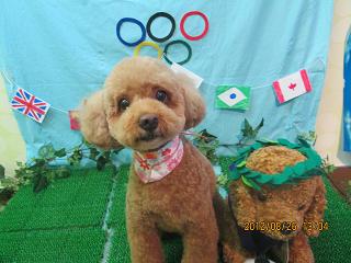 ファイル 4709-2.jpg