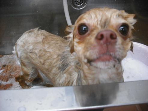 ファイル 471-2.jpg