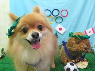 ファイル 4710-1.jpg