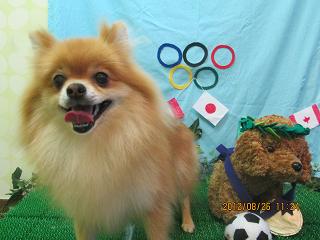 ファイル 4710-2.jpg