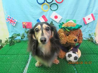 ファイル 4713-2.jpg