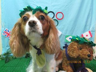 ファイル 4714-1.jpg