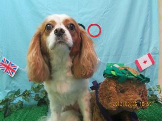 ファイル 4714-2.jpg