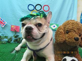 ファイル 4715-1.jpg