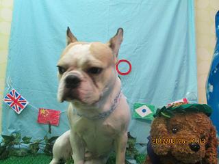 ファイル 4715-2.jpg