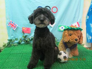 ファイル 4716-2.jpg