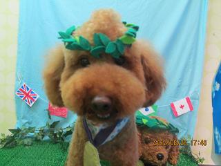 ファイル 4717-1.jpg