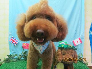 ファイル 4717-2.jpg