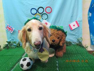 ファイル 4718-1.jpg