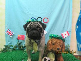 ファイル 4721-1.jpg