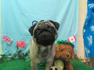 ファイル 4721-2.jpg