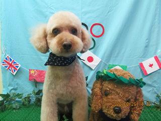 ファイル 4722-2.jpg