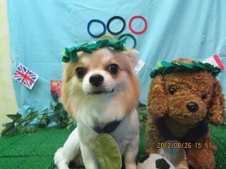 ファイル 4723-1.jpg