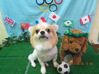 ファイル 4723-2.jpg