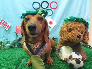 ファイル 4725-1.jpg