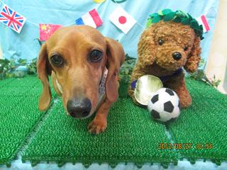 ファイル 4725-2.jpg