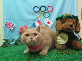 ファイル 4727-2.jpg