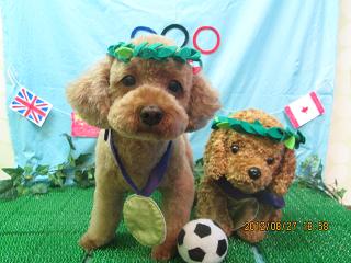 ファイル 4728-1.jpg