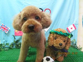 ファイル 4728-2.jpg