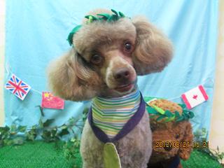 ファイル 4729-1.jpg