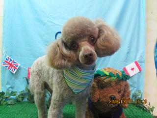 ファイル 4729-2.jpg