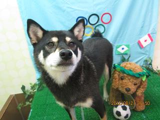 ファイル 4730-2.jpg