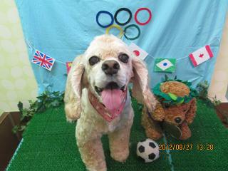 ファイル 4731-2.jpg