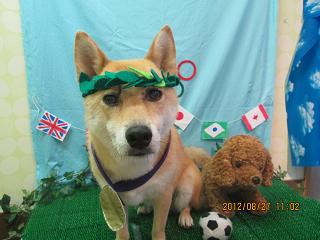 ファイル 4732-1.jpg