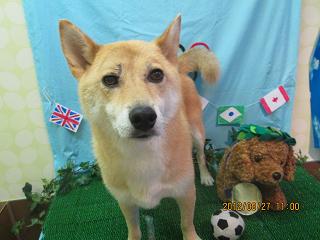 ファイル 4732-2.jpg