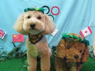 ファイル 4733-1.jpg