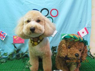 ファイル 4733-2.jpg