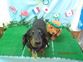 ファイル 4735-1.jpg