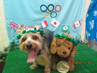 ファイル 4736-1.jpg