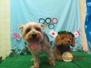 ファイル 4736-2.jpg