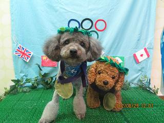 ファイル 4737-1.jpg