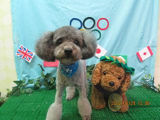 ファイル 4737-2.jpg