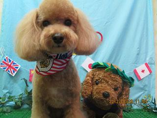 ファイル 4738-2.jpg