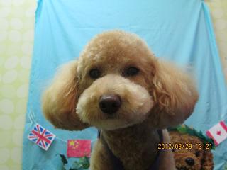 ファイル 4739-1.jpg