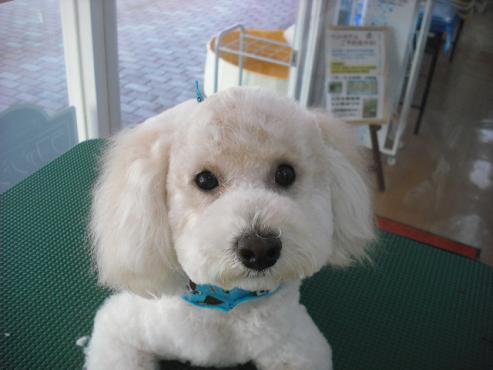 ファイル 474-1.jpg