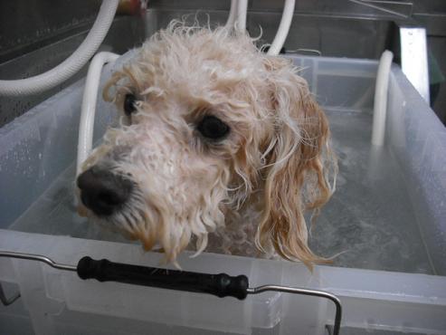 ファイル 474-2.jpg