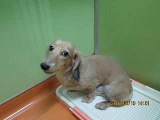 ファイル 4740-1.jpg