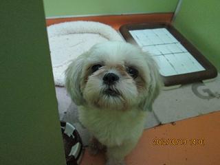 ファイル 4741-1.jpg