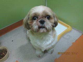 ファイル 4742-1.jpg